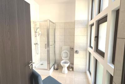Clădire renovată, pretabilă pentru hotel, pensiune, retreat, centru, etc - 13
