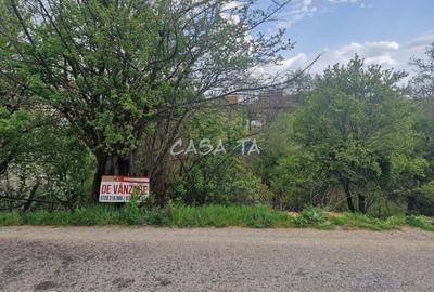 Teren Intravilan (671 mp),situat in Tetila - Bumbesti-Jiu - 7