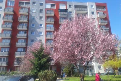 Apartament 3 camere Avantgarden - 1