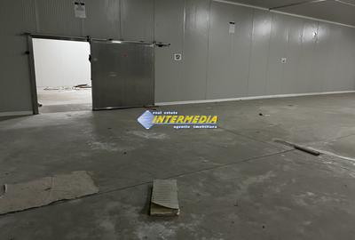 HALA DE INCHIRIAT I 2100 MP I ALBA IULIA I ZONA CENTRU I - 9