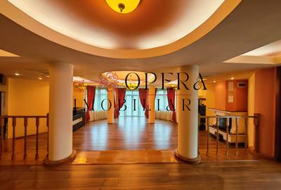 Vila individuala deosebita, de vanzare, zona Popas Pacurari - 2