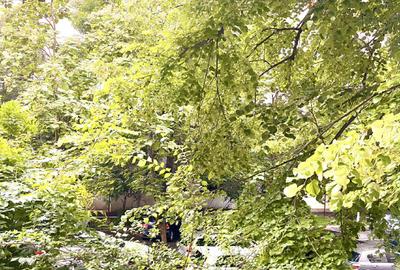 Apartament 2 cam etaj 1 - 1