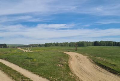 TEREN AGRICOL EXTRAVILAN - RECI - COVASNA - 5