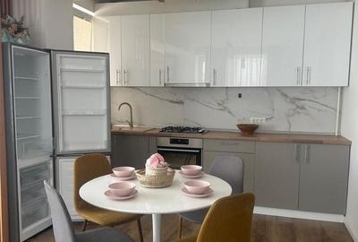 Apartament 2 camere de închiriat Tunari - 2
