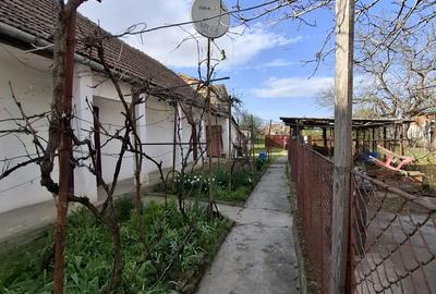 Sanandrei – Vatra Satului – Casa  3  Camere – Teren Generos - 1