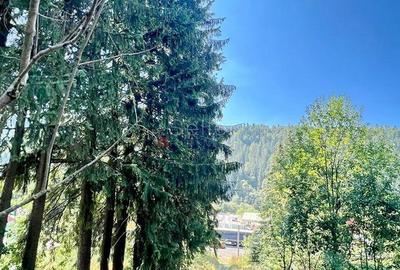 Teren Intravilan Predeal - Acces direct DN - Priveliste deosebita - 4