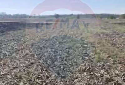 Teren 2,900mp Sat Tantava Strada Tufan - 1