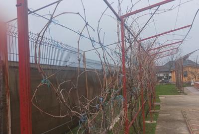 Vila P+E, 18 Km de Bucuresti-Adunatii Copaceni - 7