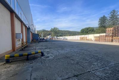 Hală industrială de închiriat – 3.739 mp, pod rulant, acces TIR-Astra - 9