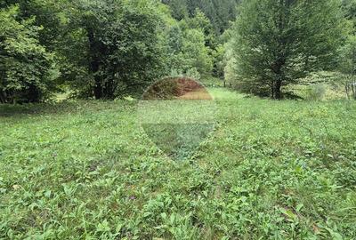 Teren de vis de 2.800 mp pe Valea Tărcăului – Cu lac natural și pădure - 4
