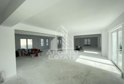 Spatiu comercial 238 mp, zona Lipovei , artera circulata - 3