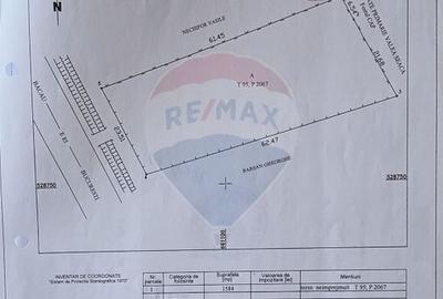 De vânzare teren intravilan 1584 mp Valea Seaca - Bacău - 5
