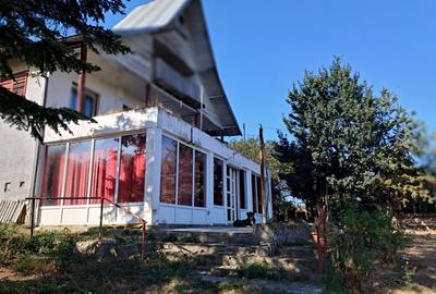 PLOIESTI - CASA PLUS TEREN 3600 MP DE VANZARE - CHITORANI