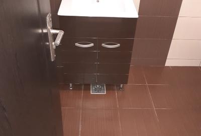 Garsonieră de închiriat zona Delfinariu - 7