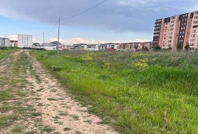 Teren intravilan,Comuna Chiajna , Judetul Ilfov - 5
