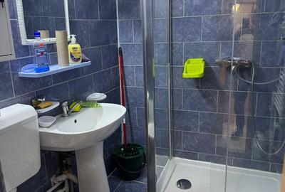 Apartament 2 camere Pantelimon - 2