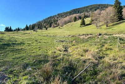 Teren 5000 mp-panorama spre Lac Colibita - 1