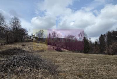 Teren intravilan de vanzare in Valea Doftanei - 1