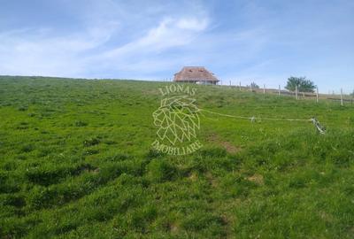Teren 2500 mp-ideal agricultura/cabane/sera-panorama-Monariu - 4