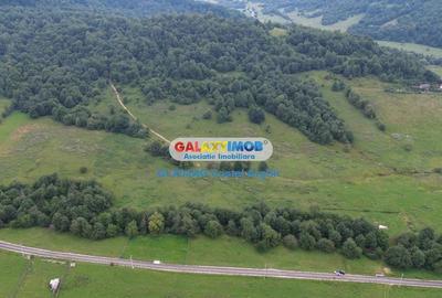 Vindem teren 20000 mp Cheile Rasnoavei - Brasov , pentru case vacanta - 6