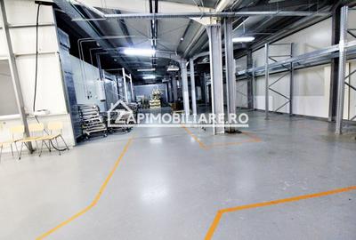 Spatiu de inchiriat Craiesti - 16