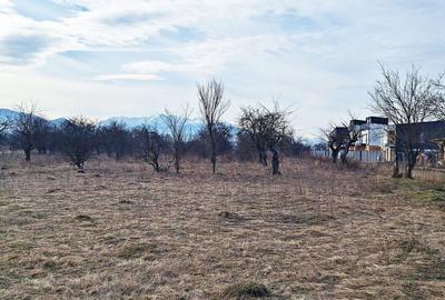 Teren intravilan pentru Investitie!!!,933mp in Ghimbav, 50 euro/mp neg. - 8
