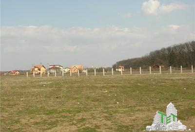 Teren 27000mp langa Padurea Baneasa Bucuresti - 3
