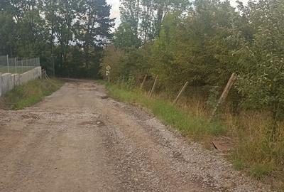 De vânzare teren intravilan în Sfântu Gheorghe - 9