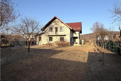 Vilă în Pătrăuți + 8400mp teren - 20