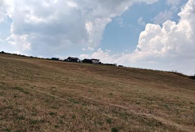 2 Parcele de teren extravilan zona Bradet Pret 3000eur/ar neg usor - 3