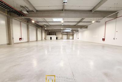 Hala de inchiriat Arad A1 – spațiu industrial modern 2.349 mp - 4