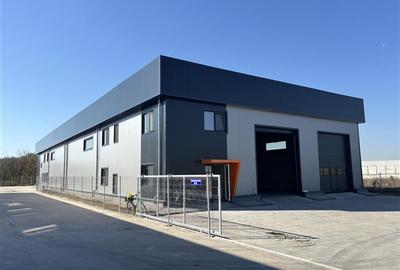Vanzare depozit/hala/spatiu industrial Chitila - Centura - Rudeni - 9