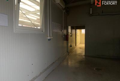 Hala industriala de inchiriat – productie/depozitare + birouri, zona Ronat - 3