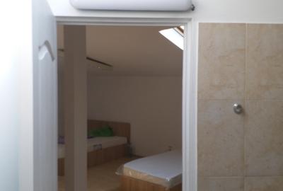 Vilă de  la Podul Grant – 250 mp + 100 mp curte - 34