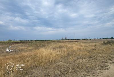 Teren Construcții intravilan de 3708 mp, în Șagului