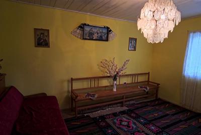 Casa cu teren 42 ari Deschidere la DJ 208A – Suceava - Bosanci - Liteni - Dolhas - 8