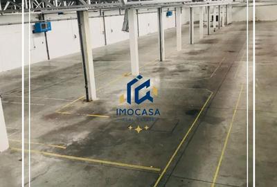 Hala de Inchiriat, comercial , industrial, logistica, Uta, Arad - 5