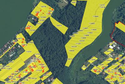 Teren de Vis pe malul lacului Snagov / 4000 mp in inima Naturii /40 m deschidere - 11
