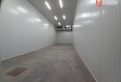 Hala industriala 572 mp, teren 1.615 mp - Zona Sud Timisoara - 6