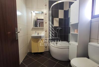 Casa individuala,4 camere,2 bai,Dumbravita - 21