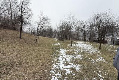 Teren 4652 mp cu izvor pe el, Lunca Mare, lângă păstrăvăria Doftana - 16