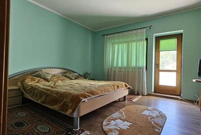 TEREN INTRAVILAN DEVANZARE 33161 MP DE VANZARE TARGU OCNA - 25