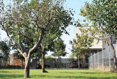 Teren 800 mp Băneasa – PUD aprobat – Construiești imediat - 4