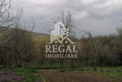 Casă de vânzare în Cerisor – liniște, natură și teren generos! - 3