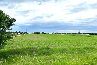 Teren intravilan | Dragomiresti Vale | Sat Zurbaua IF | INVESTITIE - 2