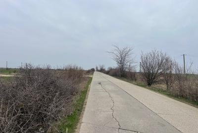 Giurgiu-Marsa Teren Agricol 8.5 Ha - 1