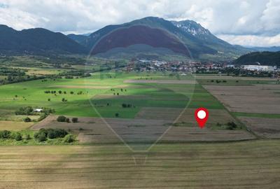 Teren intravilan de vânzare 1180 mp – Zărnești - 1