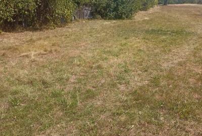 Teren Intravilan, situat in Sat Tismana (zona Gornovita) - 9