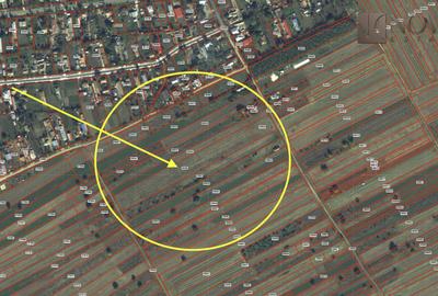 Teren 11.000 mp | Gradistea | Oportunitate Dezvoltare - 4