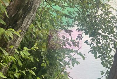Teren cu deschidere la lac – Valea Doftanei, Prahova - 11
